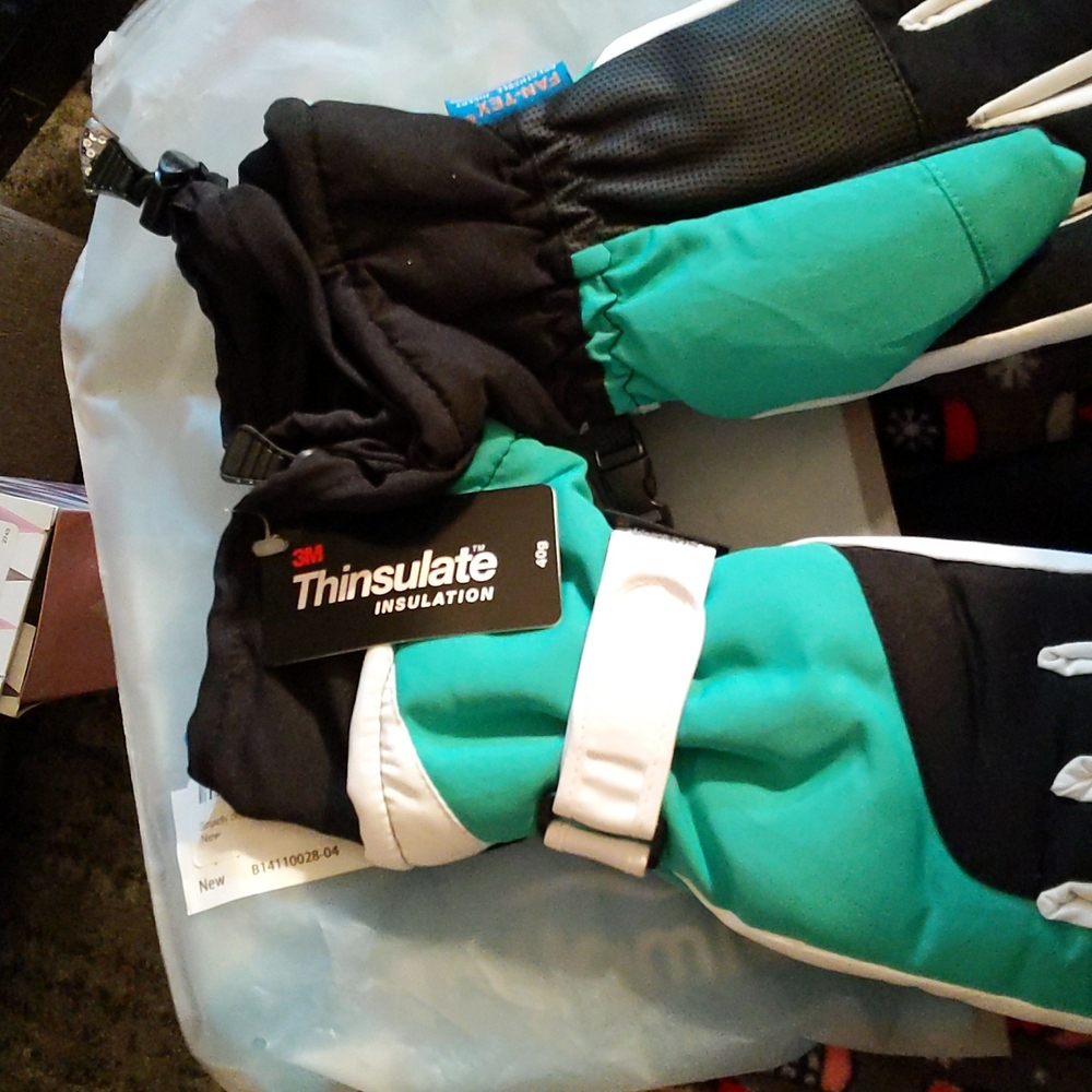Ski gloves